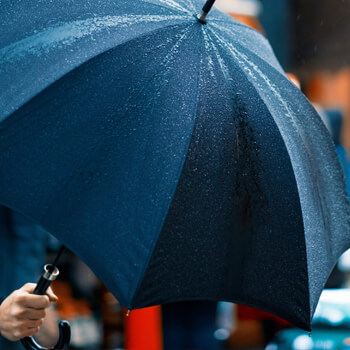 Umbrella