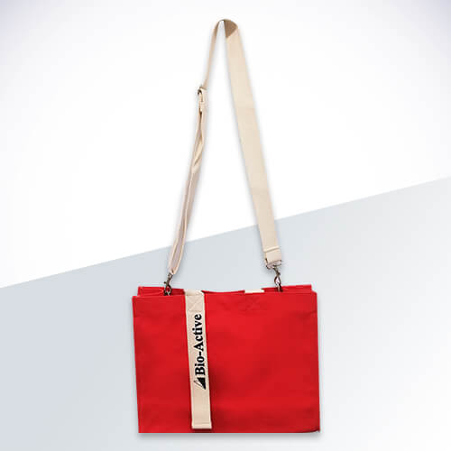 Promotion bag