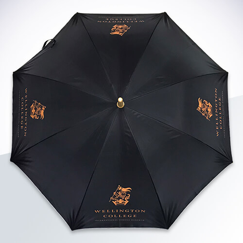 Umbrella
