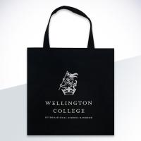 Promotion bag
