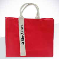 Promotion bag