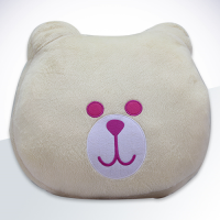 Pillow cushion